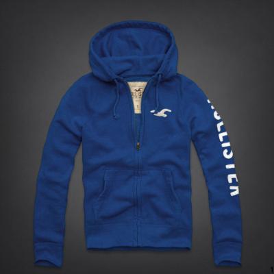 Hollister Men Hoodies-115